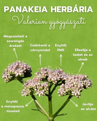 ZAVAR AZ ÁLMATLANSÁG VAGY A SZORONGÁS? Vigyázz magadra. ☝️👀 Ma, hosszú idő után, megnyitjuk a gyógynövények és tinktúrák...